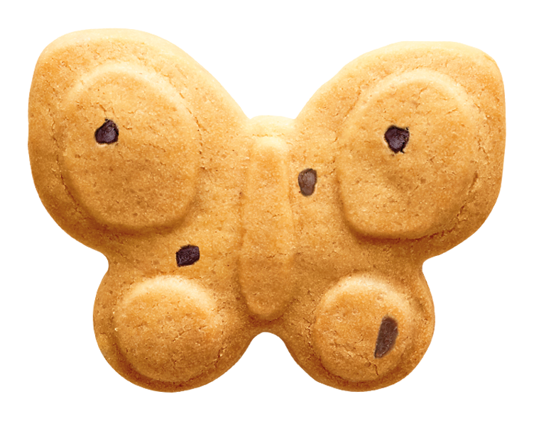 Butterfly Butterfly