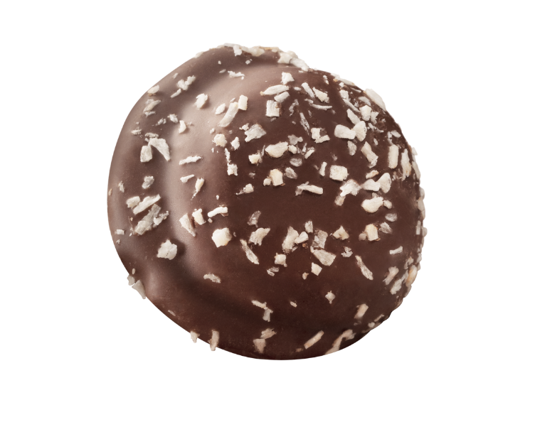 Dome Coco