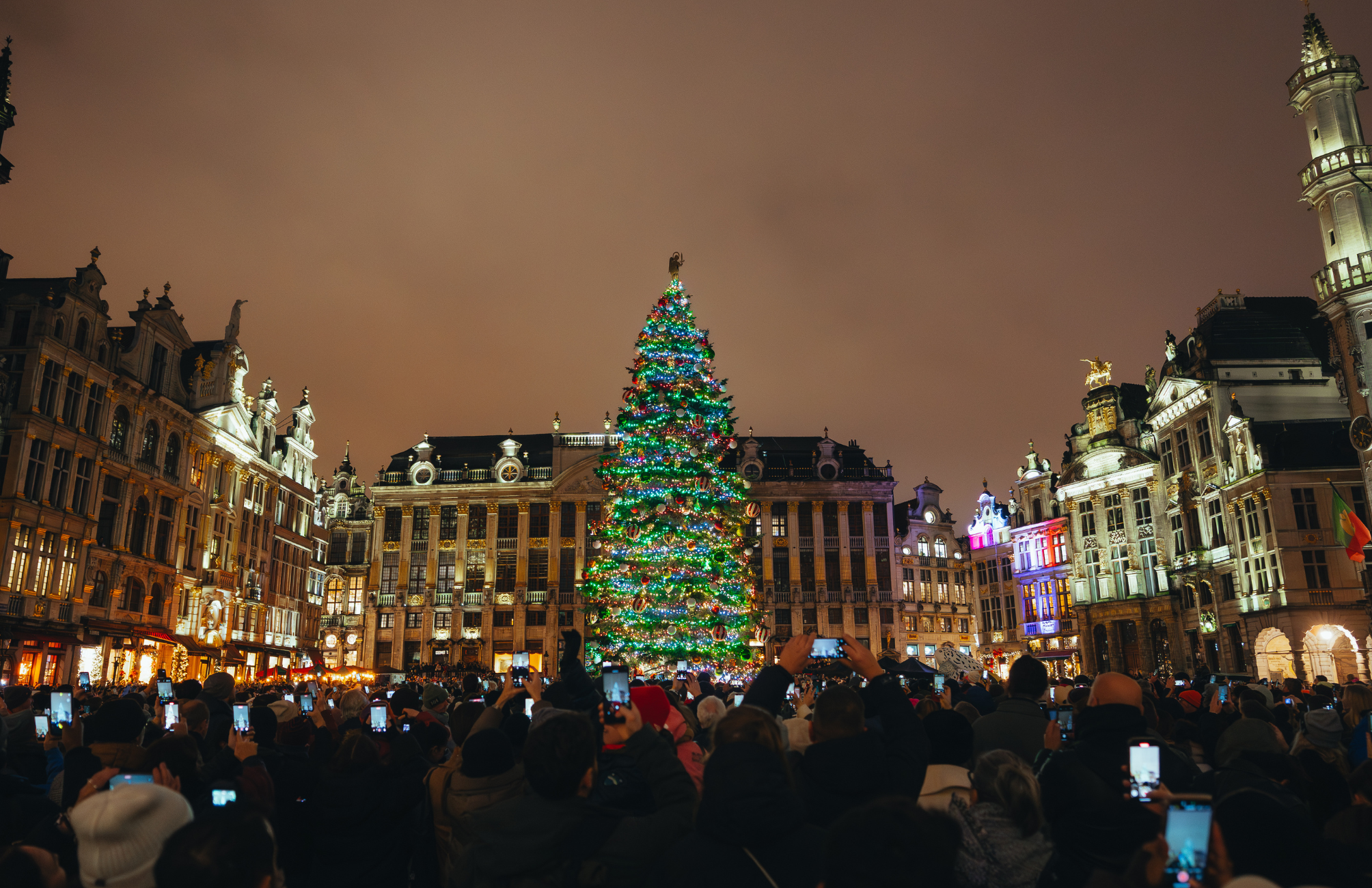 Article Banner Xmas Tree