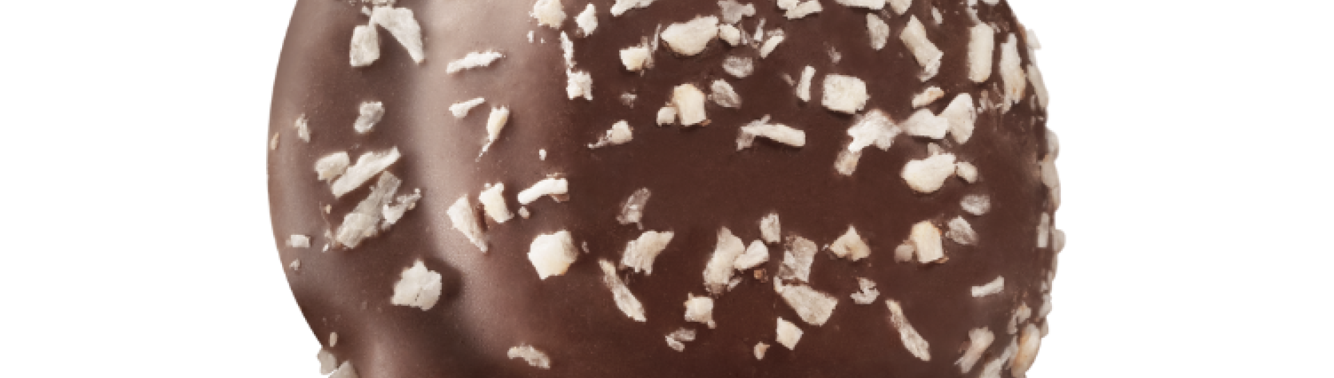 Dome Coco